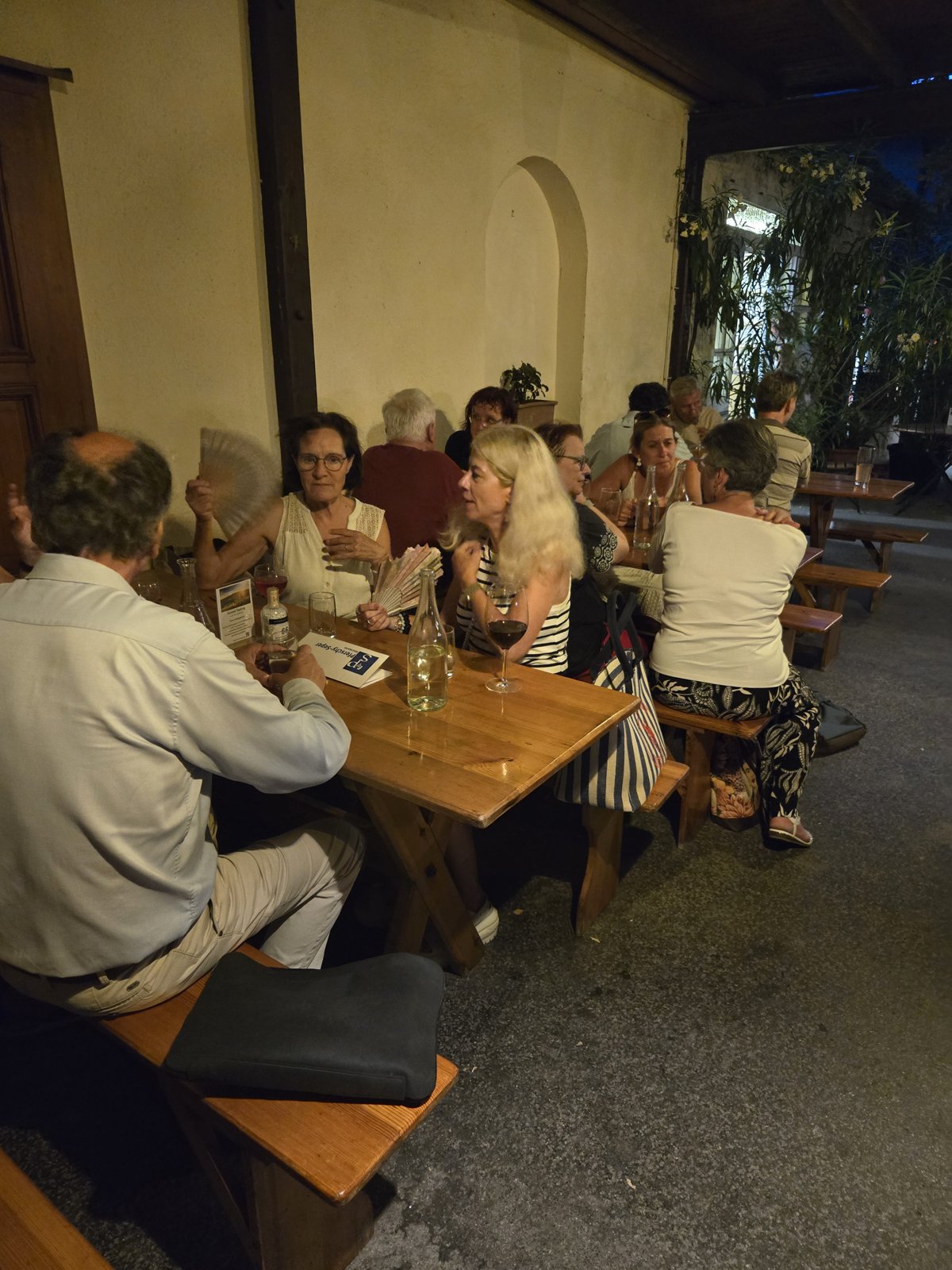 Geselliger Abend beim Sommerheurigen im Gasthaus Pferschi, Mödling